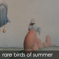 Rare Birds of Summer